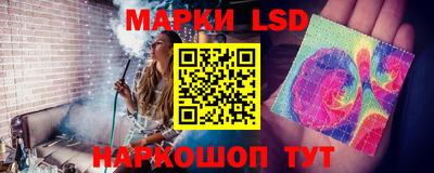 спиды Кингисепп