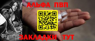 спиды Кингисепп