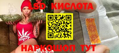 спиды Кингисепп
