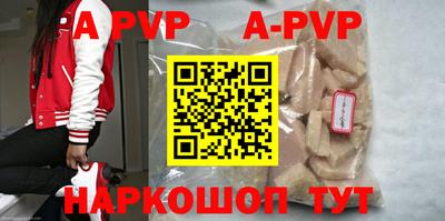 спиды Кингисепп
