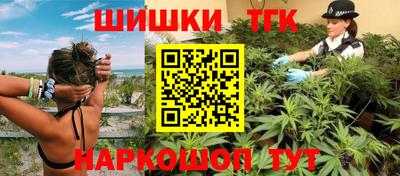 спиды Кингисепп
