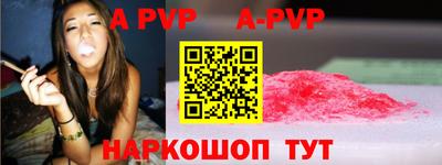 спиды Кингисепп