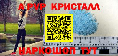 спиды Кингисепп