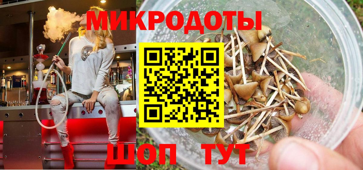 Аксай  Галлюциногенные грибы прущие грибы  Вход с VPN 